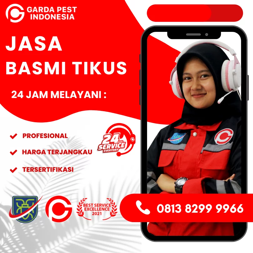 Layanan Pembasmi Tikus Di Rumah Kota Bekasi Murah