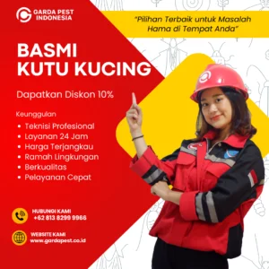 Jasa Fogging Kutu Kucing Bandung