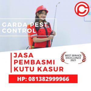 Jasa Pembasmi Kutu Kasur di Semarang