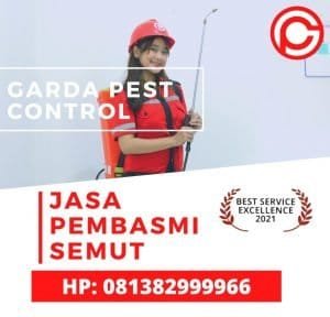 Jasa Pembasmi Semut di Bandung