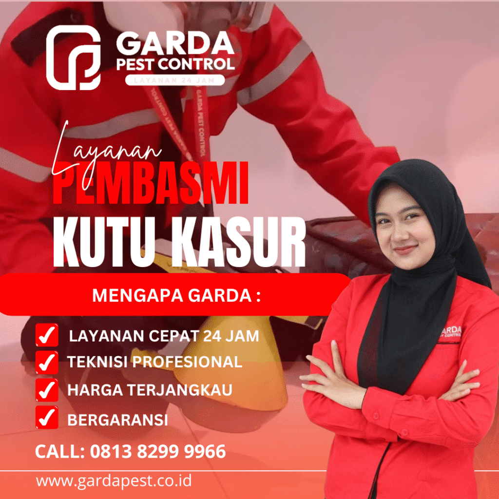 Jasa Pembasmi Bangsat di Wonosobo Murah Bergaransi