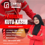 Jasa Pembasmi Kutu Kasur Malang