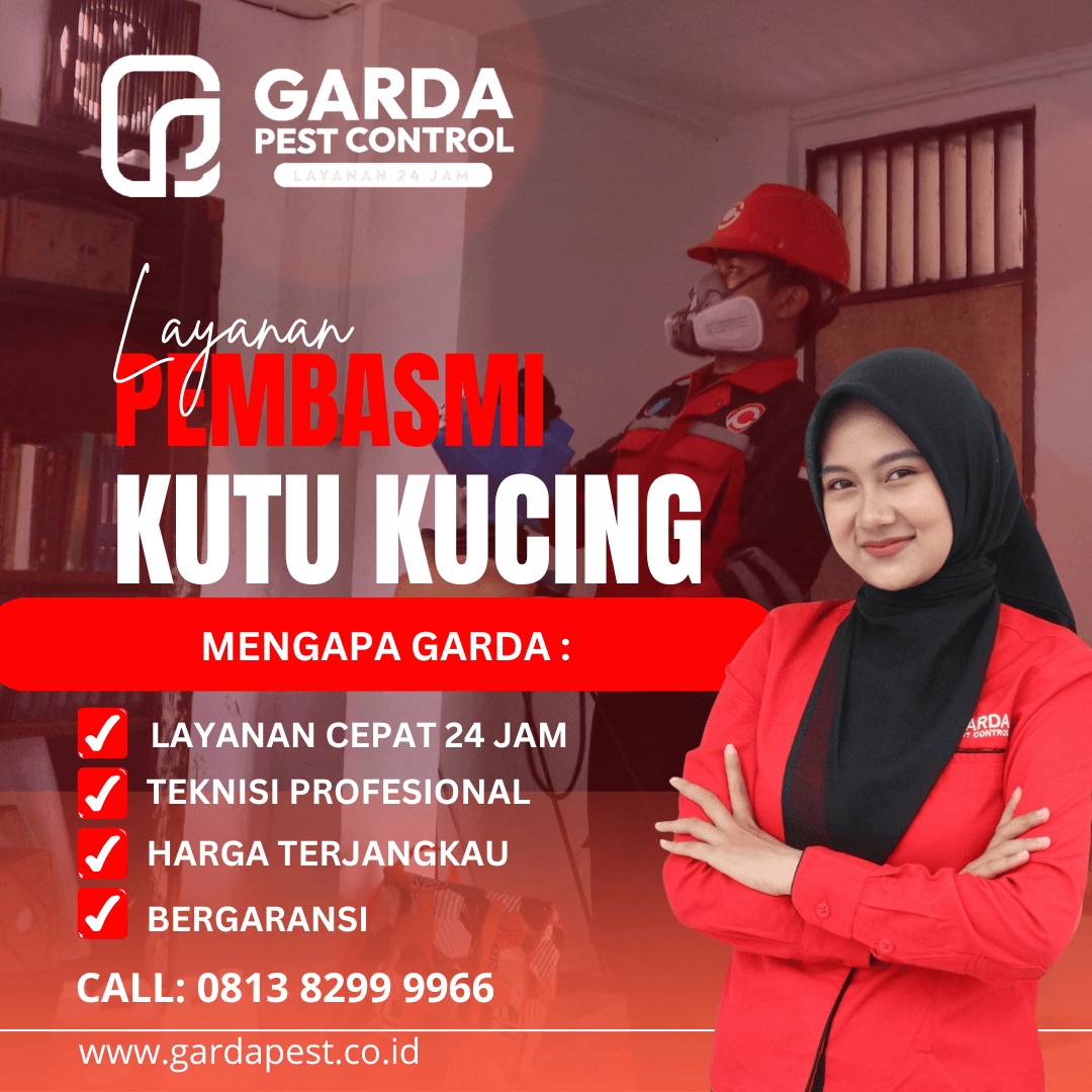 Jasa Basmi Kutu Kucing Bergaransi Proses Cepat