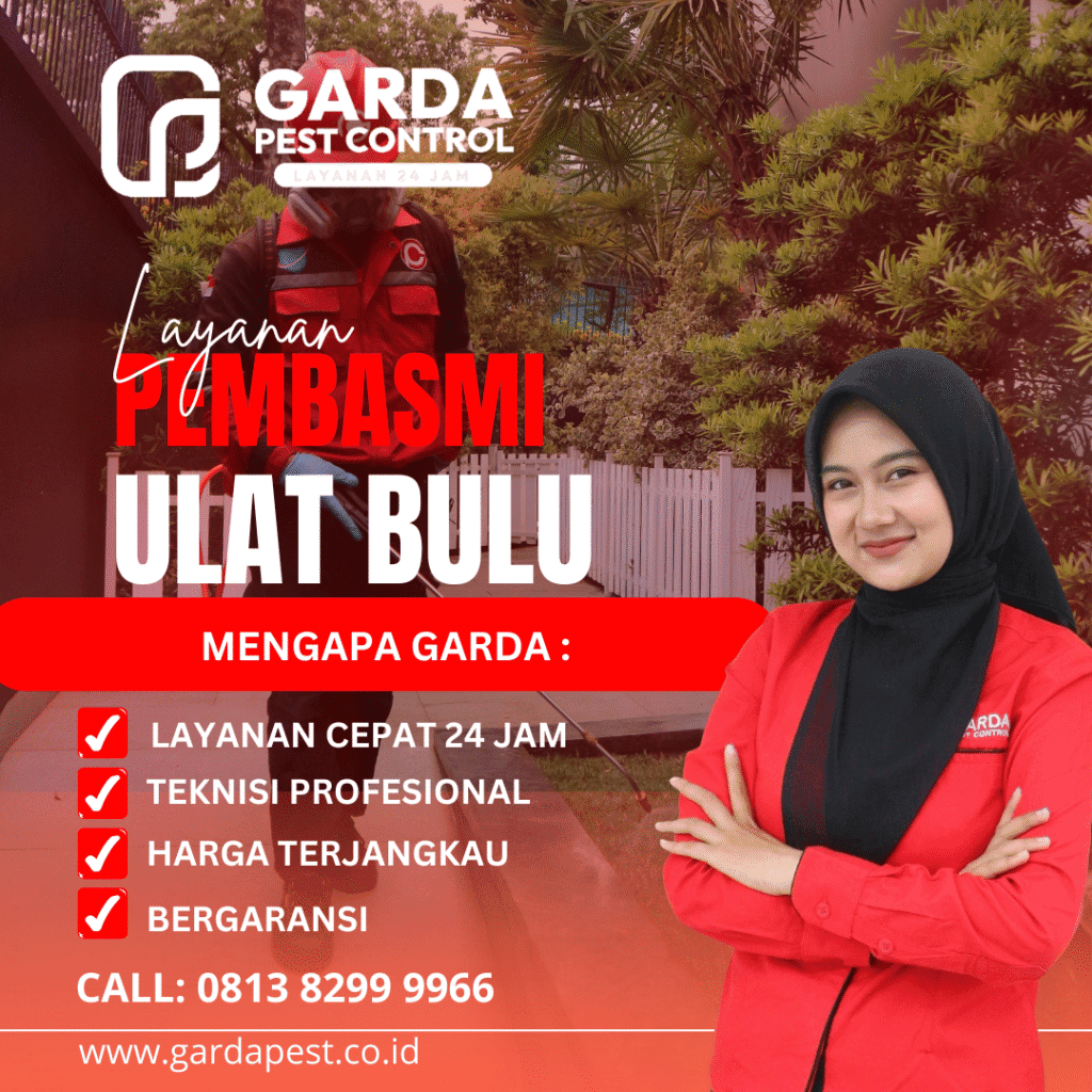 Jasa Pembasmi Ulat Bulu di Bekasi