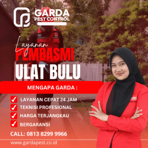 Jasa Pembasmi Ulat Bulu di Bekasi