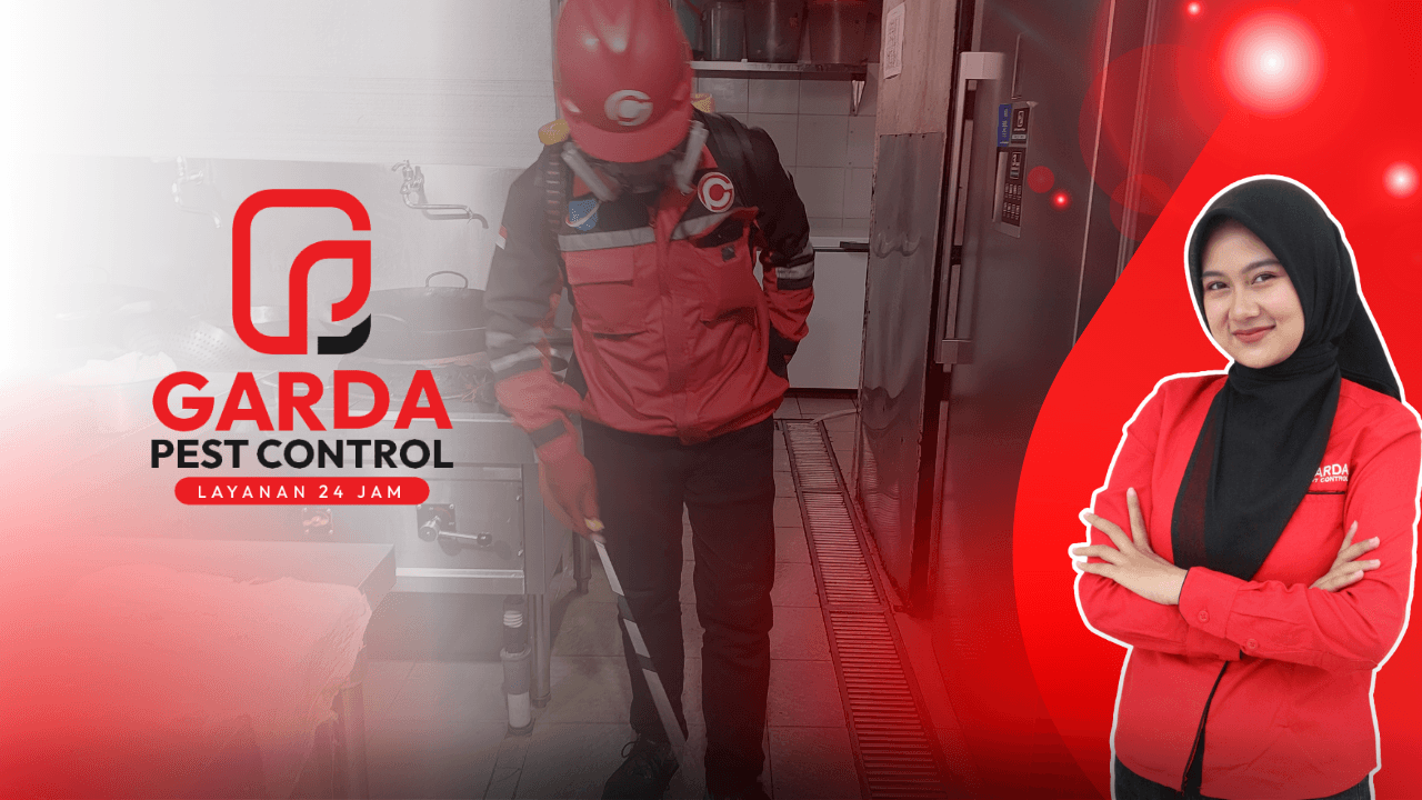 Jasa Pest Control di Purwokerto Untuk SPPG & MBG Murah
