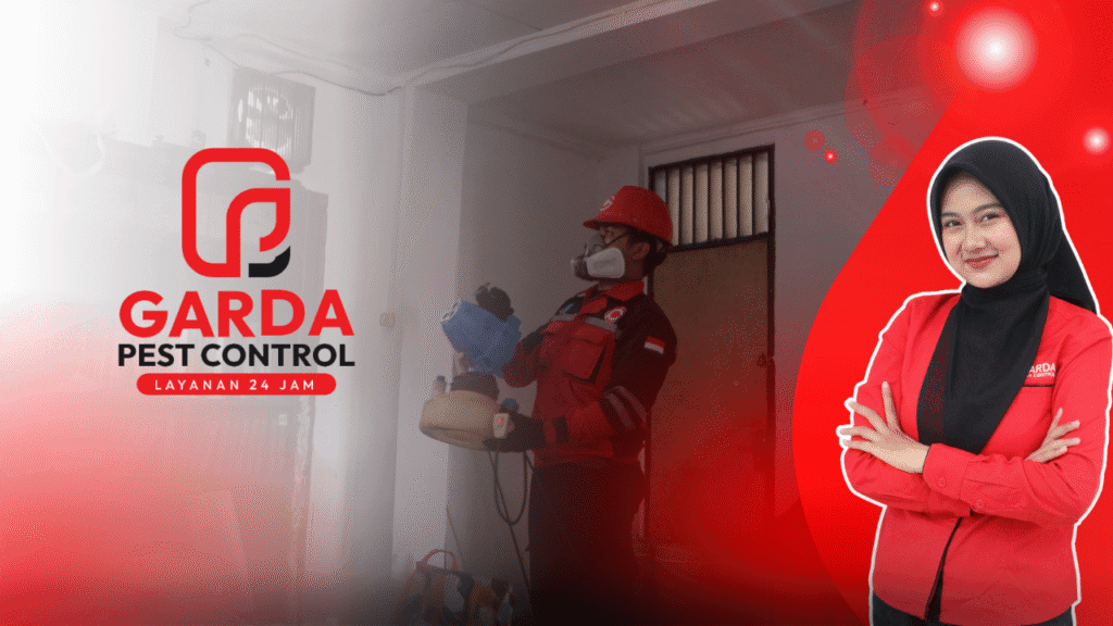 Pest Control Pembasmi Kutu Kucing