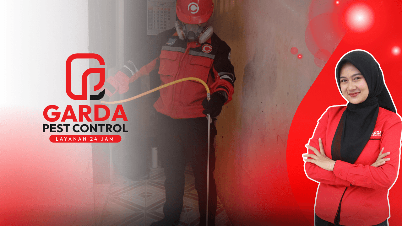 Jasa Anti Rayap di Bogor Bergaransi dan Tersertifikasi