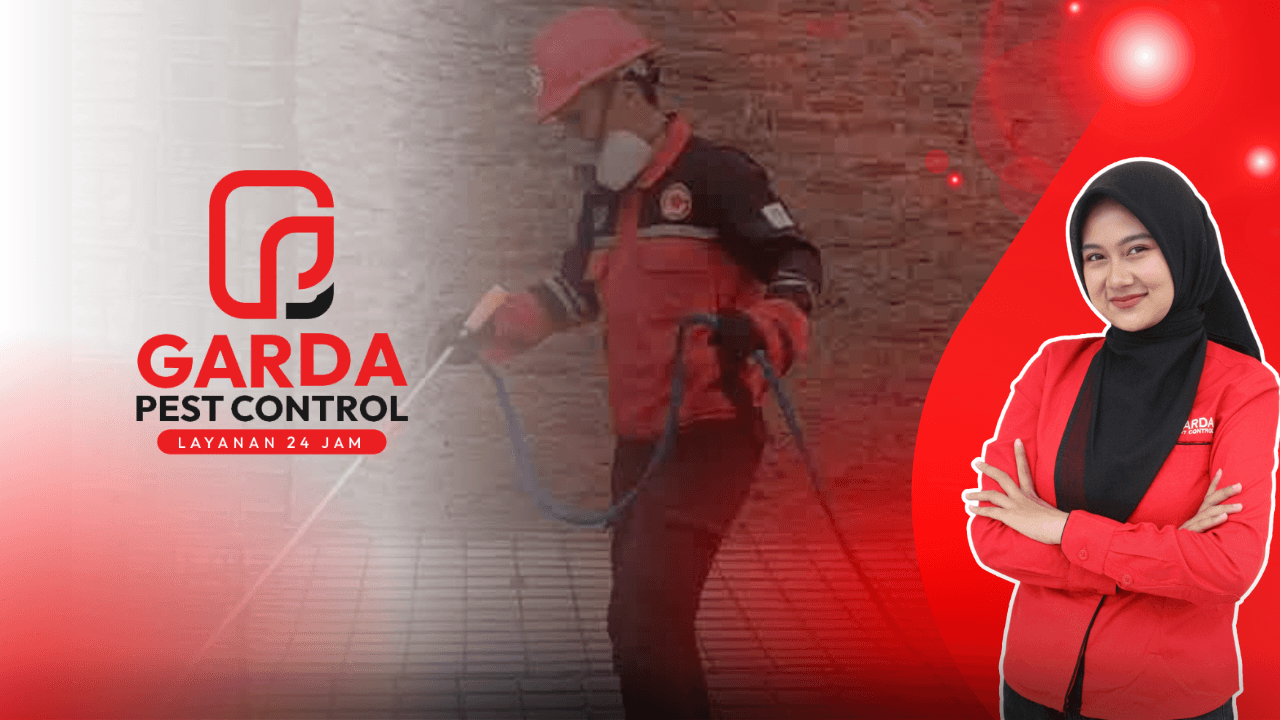 Jasa Pembasmi Rayap di Banyumas Bergaransi Hingga 5 Tahun