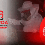 Jasa Pembasmi Tawon Vespa di Cimahi Jasa Pembasmi Tawon di Cikarang Penanganan Cepat 24 Jam