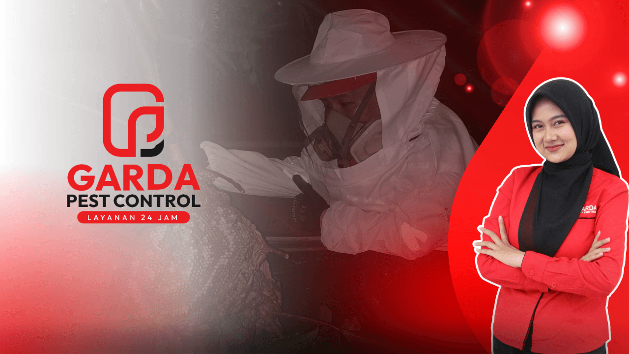 Jasa Pembasmi Tawon di Jakarta Terhebat