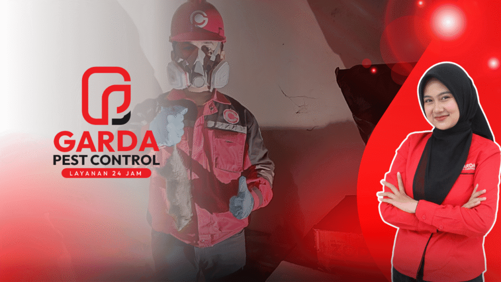 Pest Control Pembasmi Tikus
