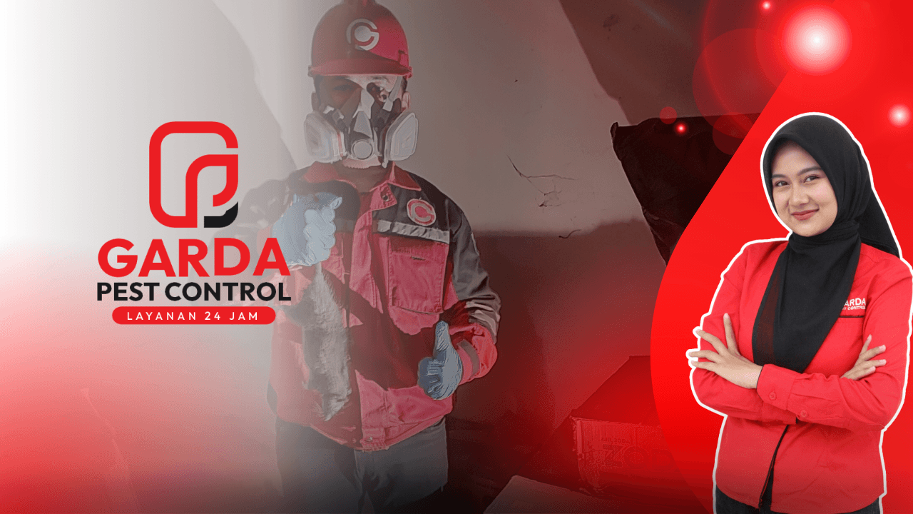 Jasa Pembasmi Tikus Sidoarjo 24 Jam Layanan