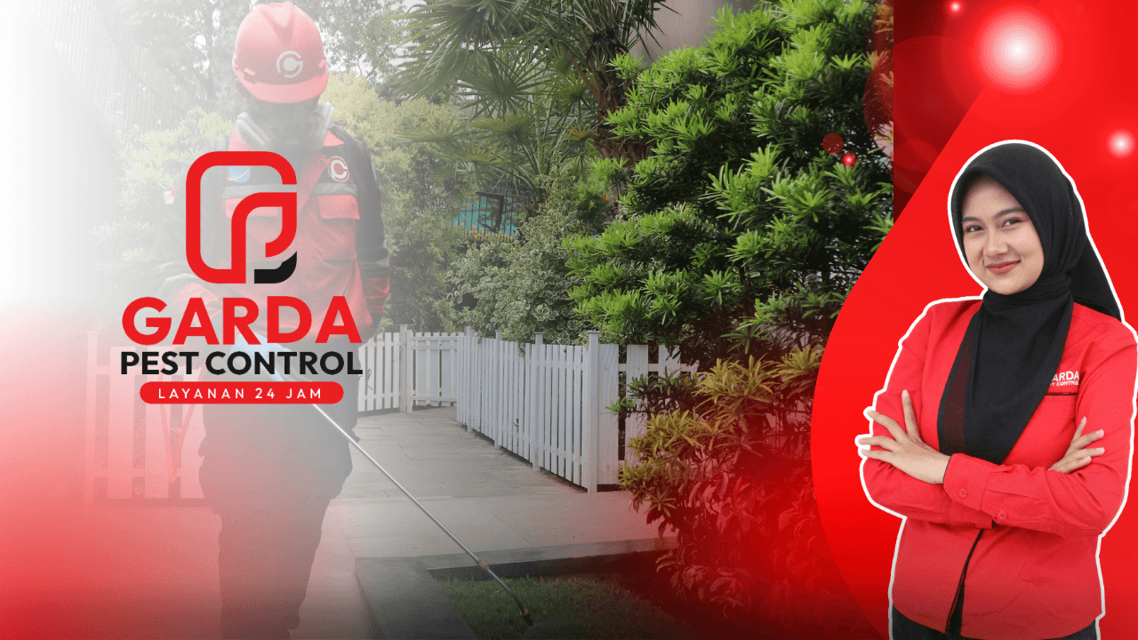 Jasa Pest Control di Wonosobo Tangani 24 Jam