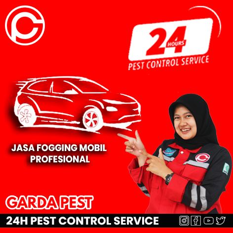Jasa-Fogging-Mobil-Bogor