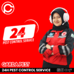 Garda Pest Control Layanan 24 Jam Profesional