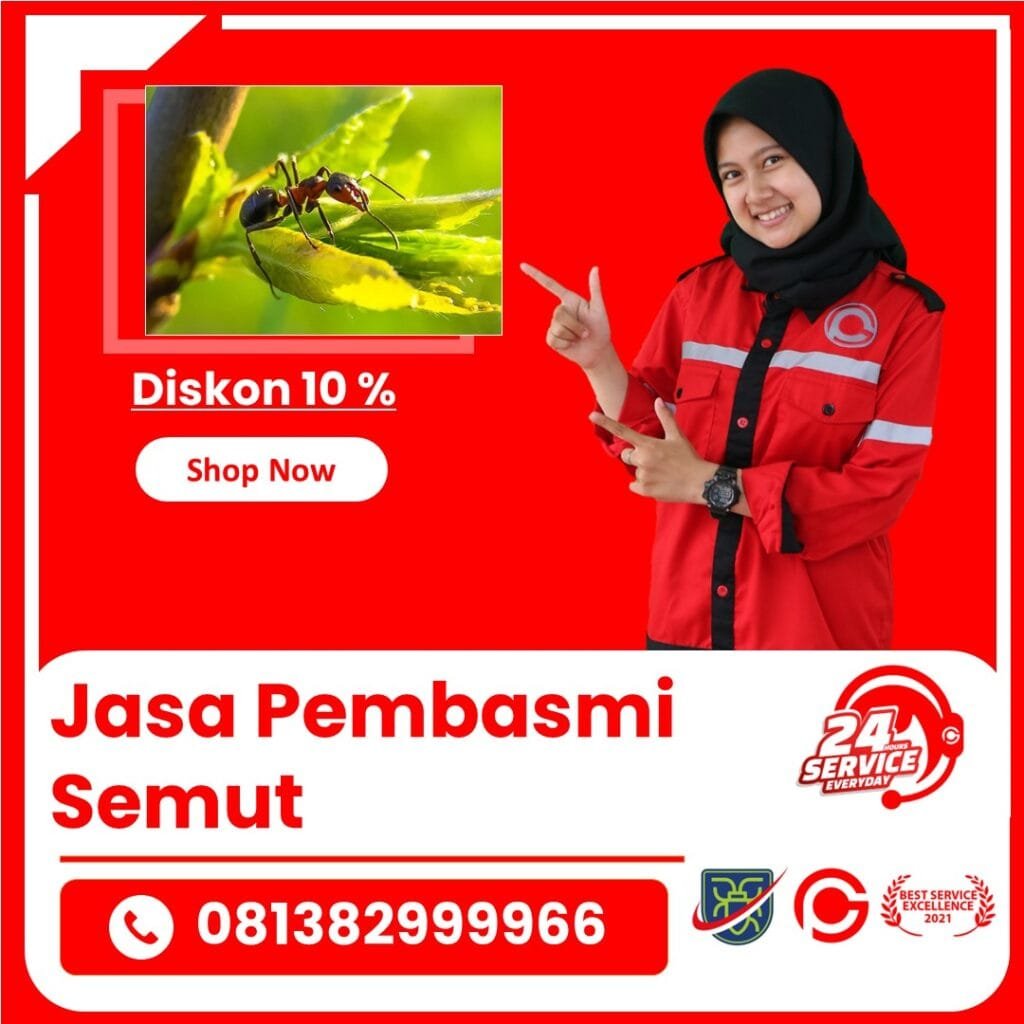 Jasa Pembasmi Semut Semarang