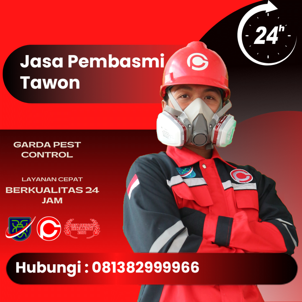 Jasa Pembasmi Tawon Bali 0813 8299 9966 Garda Pest Control