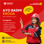 Jasa Pembasmi Kecoa di Rumah Pedurungan