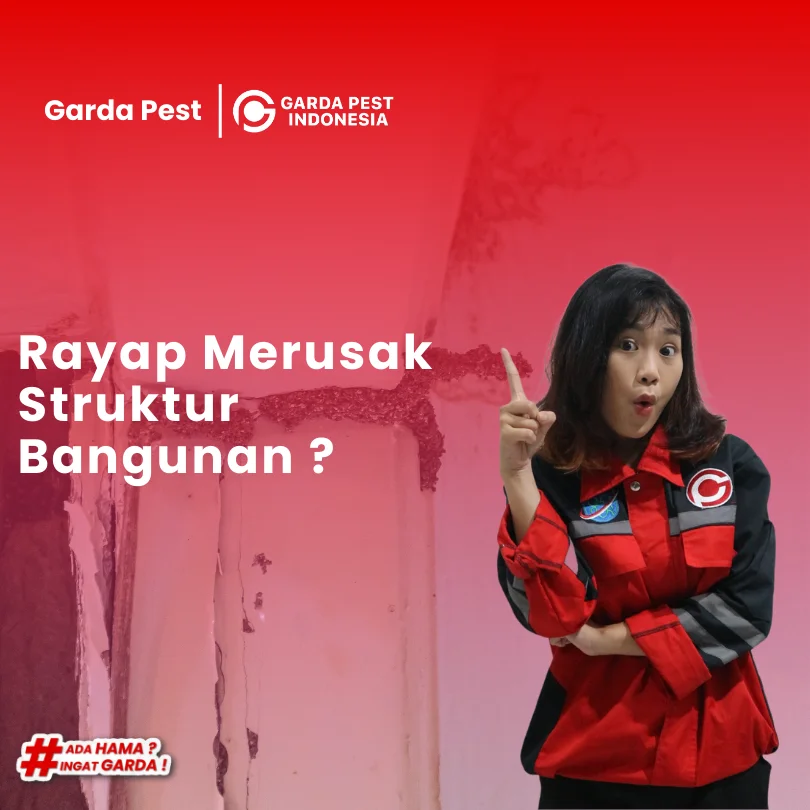 Rayap Merusak Struktur Bangunan