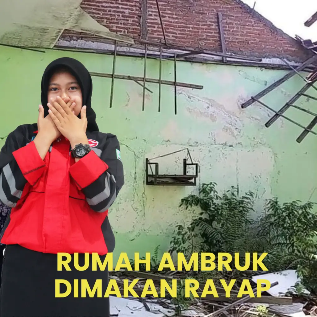 Rumah Ambruk Gara Gara Rayap