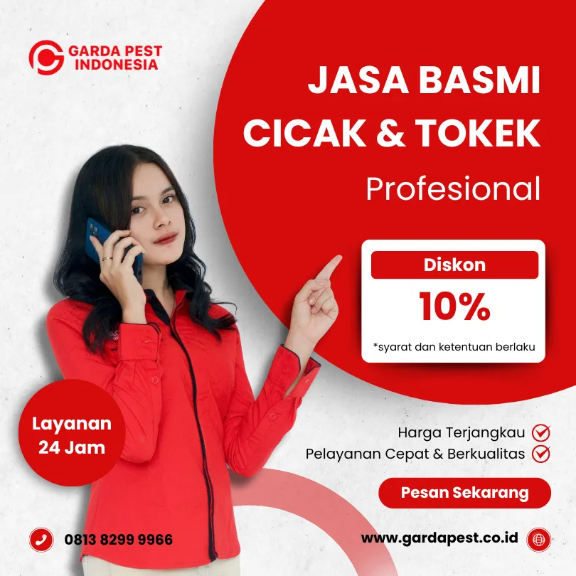 Jasa Pembasmi Cicak Bekasi