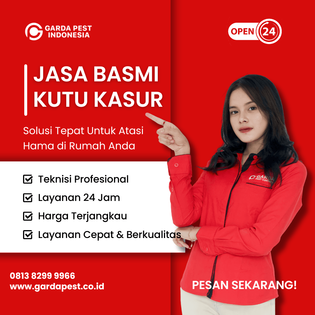 Jasa Pembasmi Kutu Kasur Murah Bergaransi