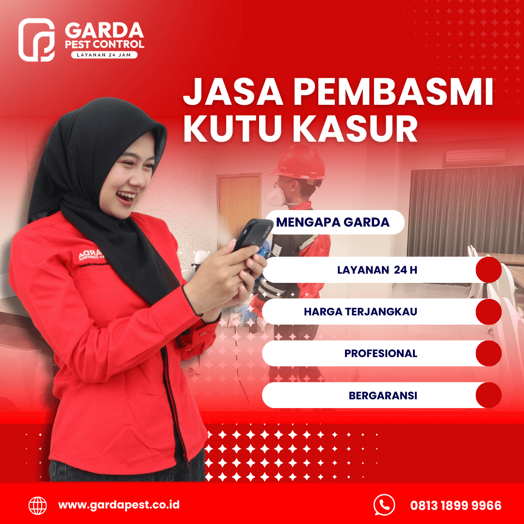 Layanan Jasa Pembasmi Kutu Kasur di Pekalongan Jawa Tengah