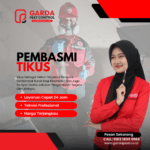 Virus Hanta Mengancam Bandung? Fakta, Gejala, dan 5 Cara Ampuh Mencegahnya