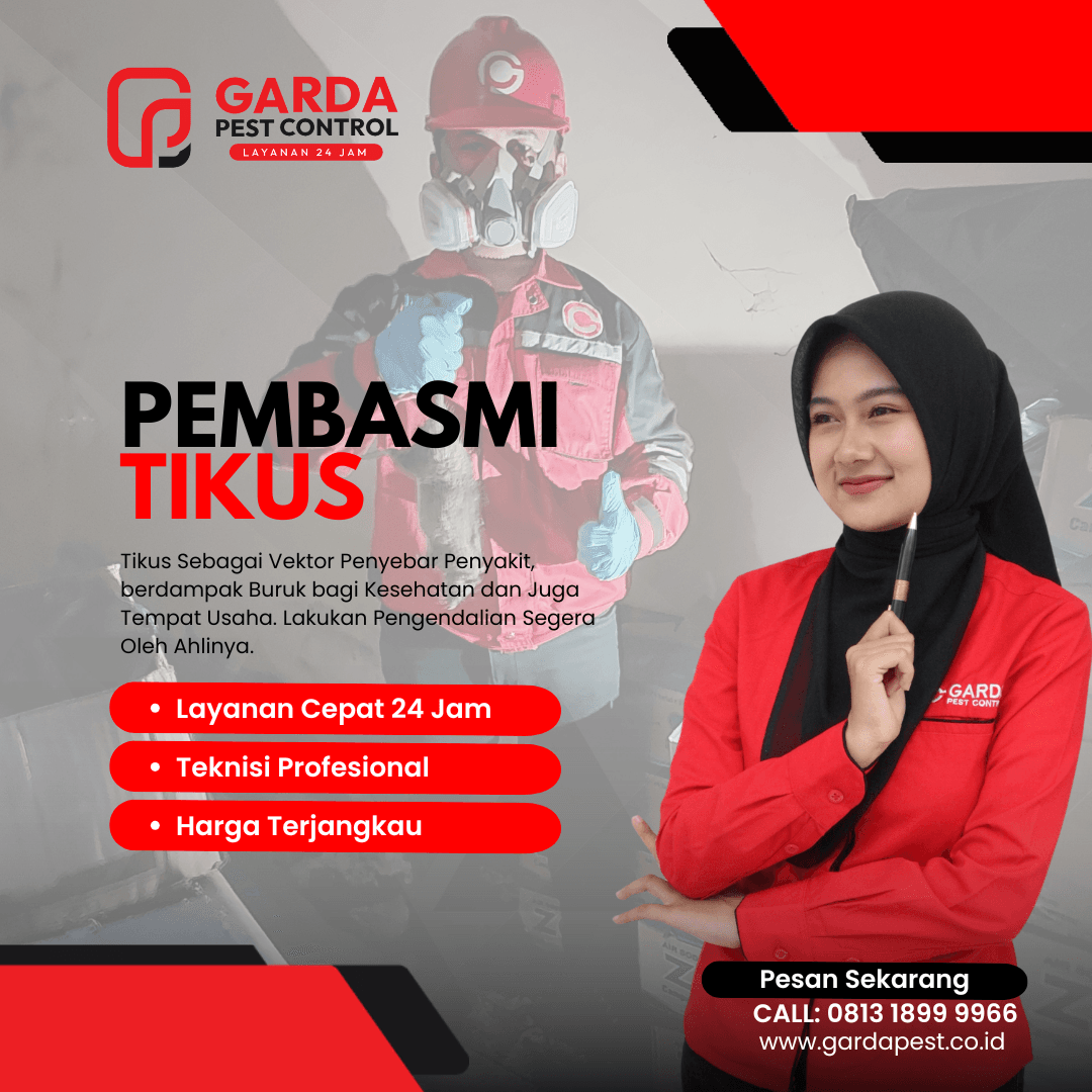 Virus Hanta Mengancam Bandung? Fakta, Gejala, dan 5 Cara Ampuh Mencegahnya