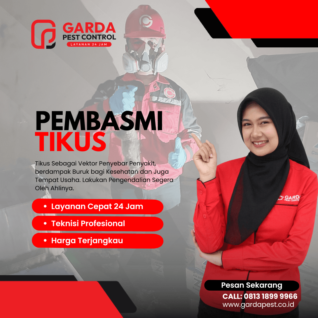 Berapa Harga Jasa Pembasmi Tikus Pelabuhan Ratu 24 Jam