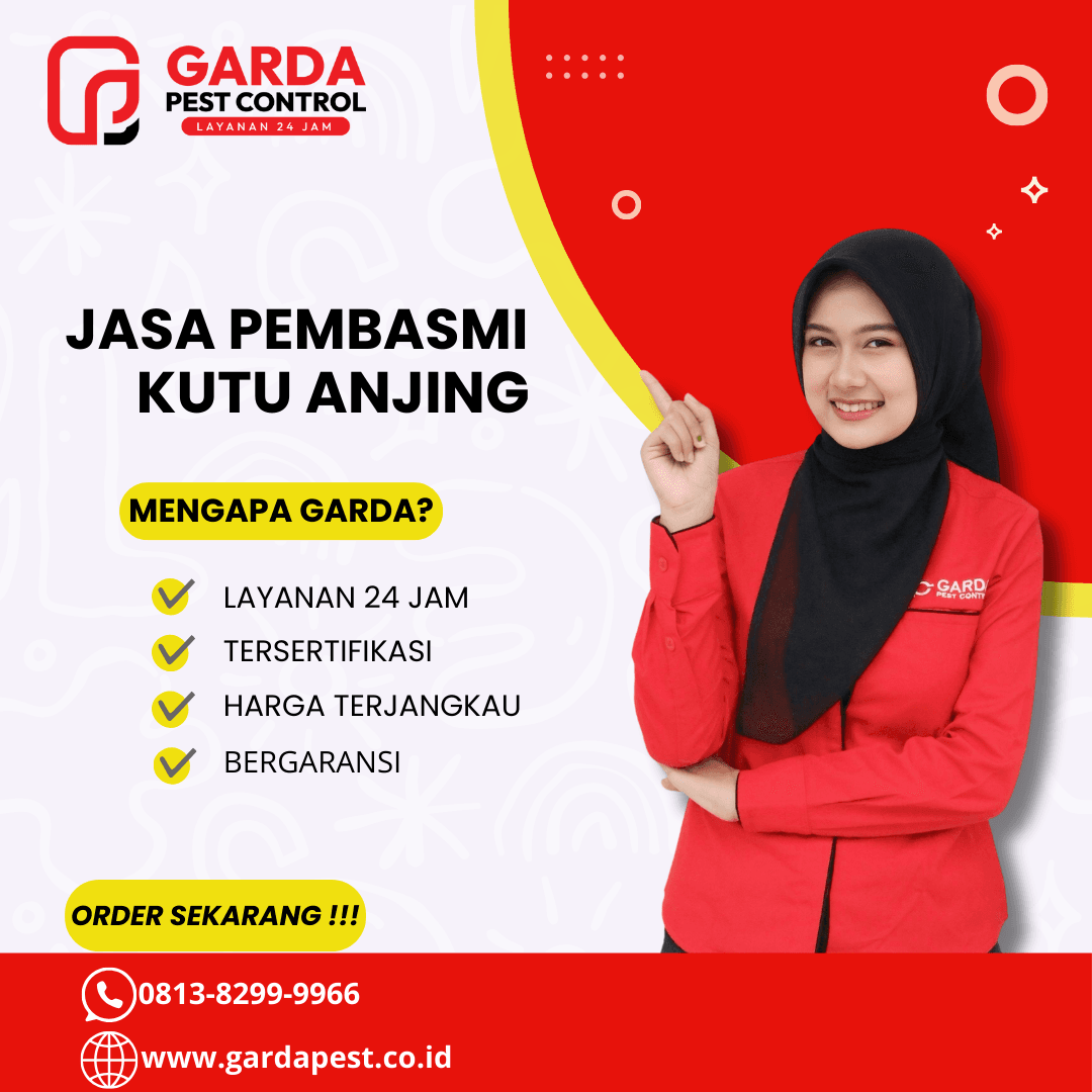 Butuh Jasa Pembasmi Kutu Kasur di Bandung? Kami Siap Membantu! - Gambar 3