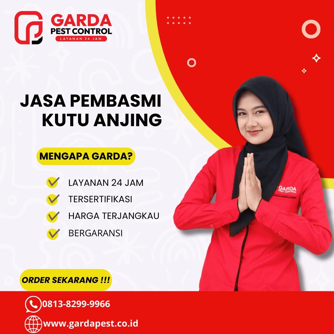 Jasa Pembasmi Kutu Kasur di Wonosobo Murah Bergaransi