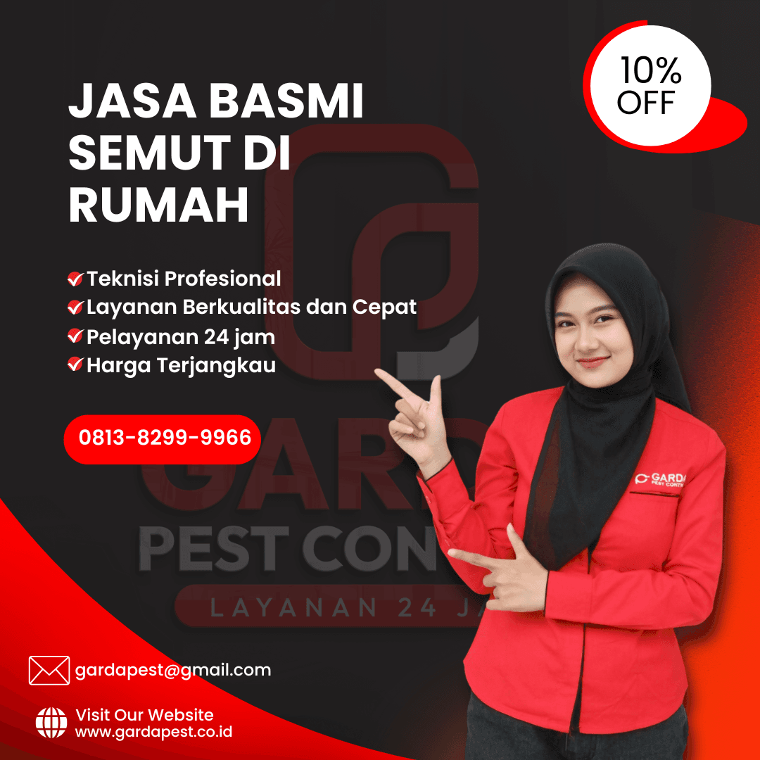 Jasa Pembasmi Semut di Rumah Kualitas Terjamin