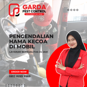 Jasa Pembasmi Kecoa Kecil di Mobil Bergaransi