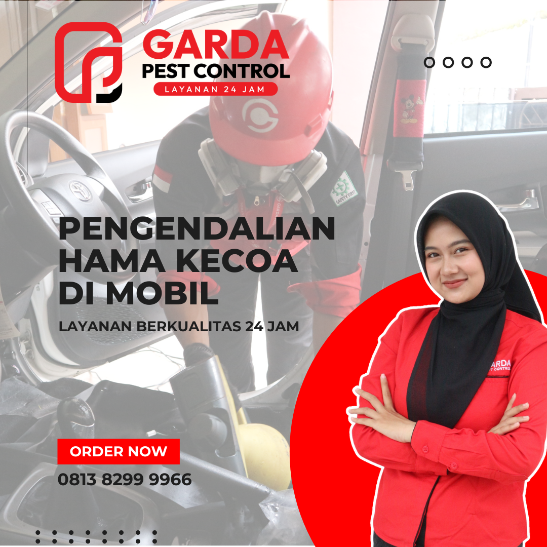 Jasa Pembasmi Kecoa Kecil di Mobil Bergaransi