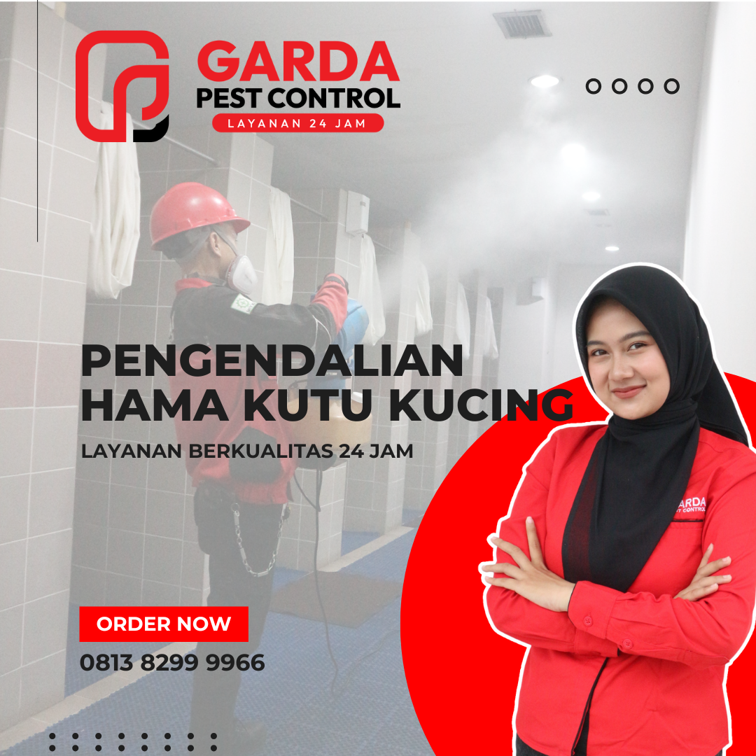 Jasa Pembasmi Kutu Kucing di Purbalingga Cepat 24 Jam