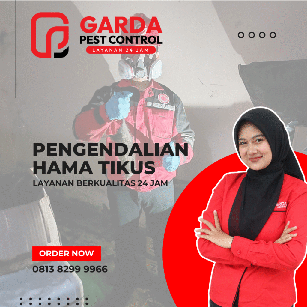 Jasa Pengusir Tikus di Jogja No.1 Harga Termurah