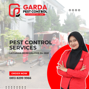 Pest Control Untuk Dapur MBG