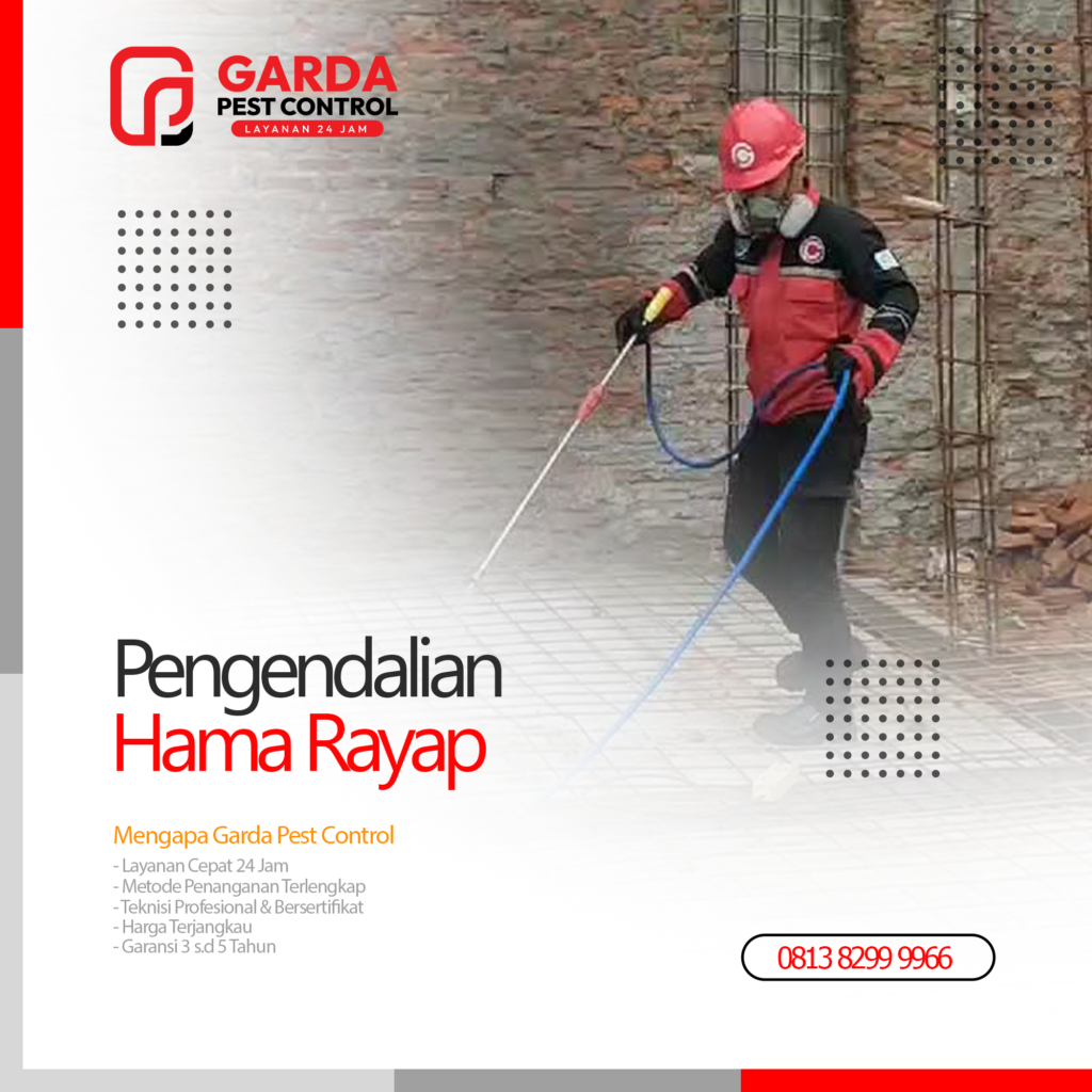 Jasa Anti Rayap Di Purbalingga Paling Oke Banget