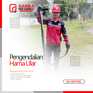 Jasa Pembasmi Ular di Jogja No.1 Harga Termurah