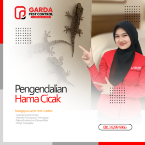 Jasa Pembasmi Cicak di Jogja No.1 Harga Termurah
