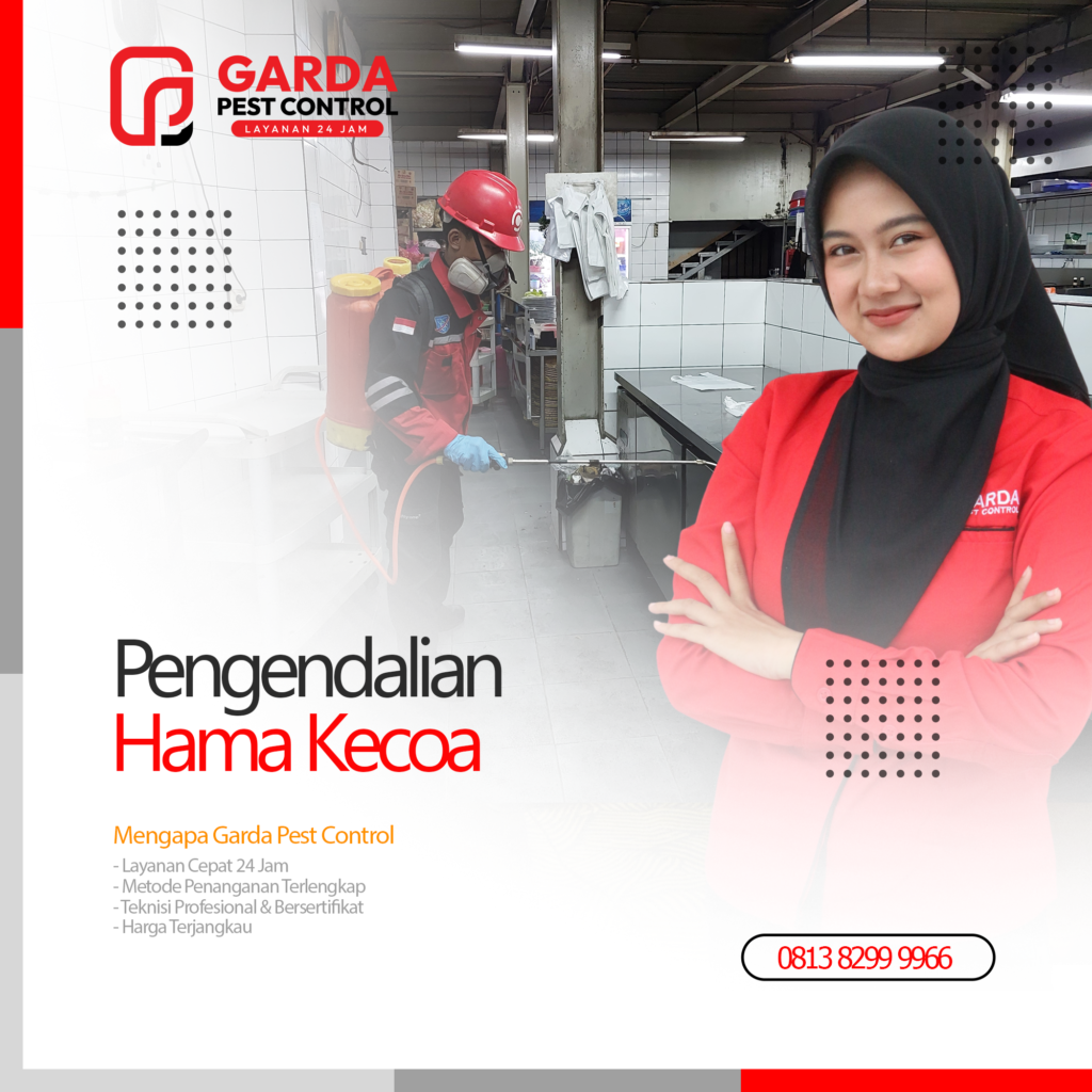 Jasa Pembasmi Kecoa di Jogja No.1 Harga Termurah