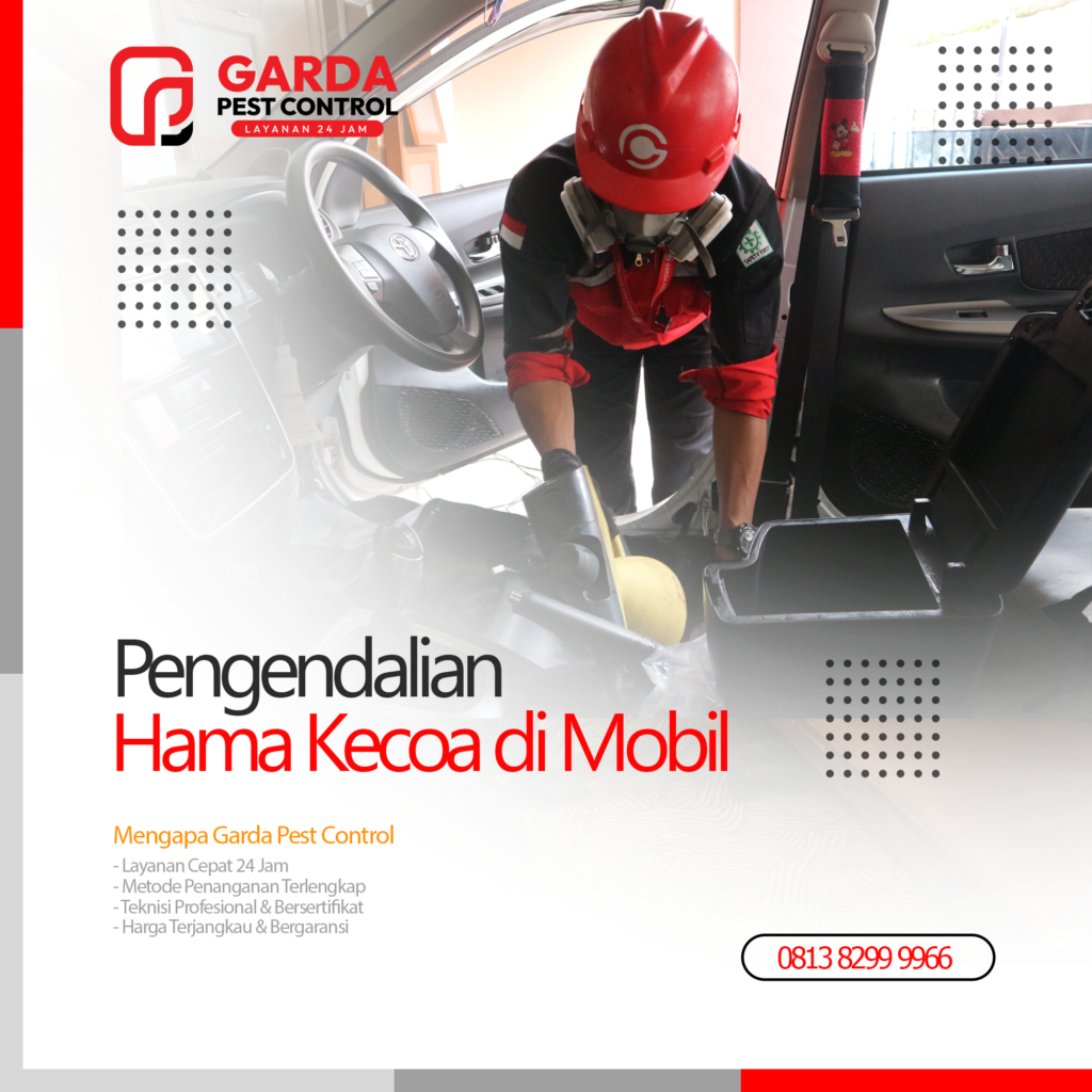 Jasa Pembasmi Kecoa di Mobil Purwokerto Murah Bergaransi