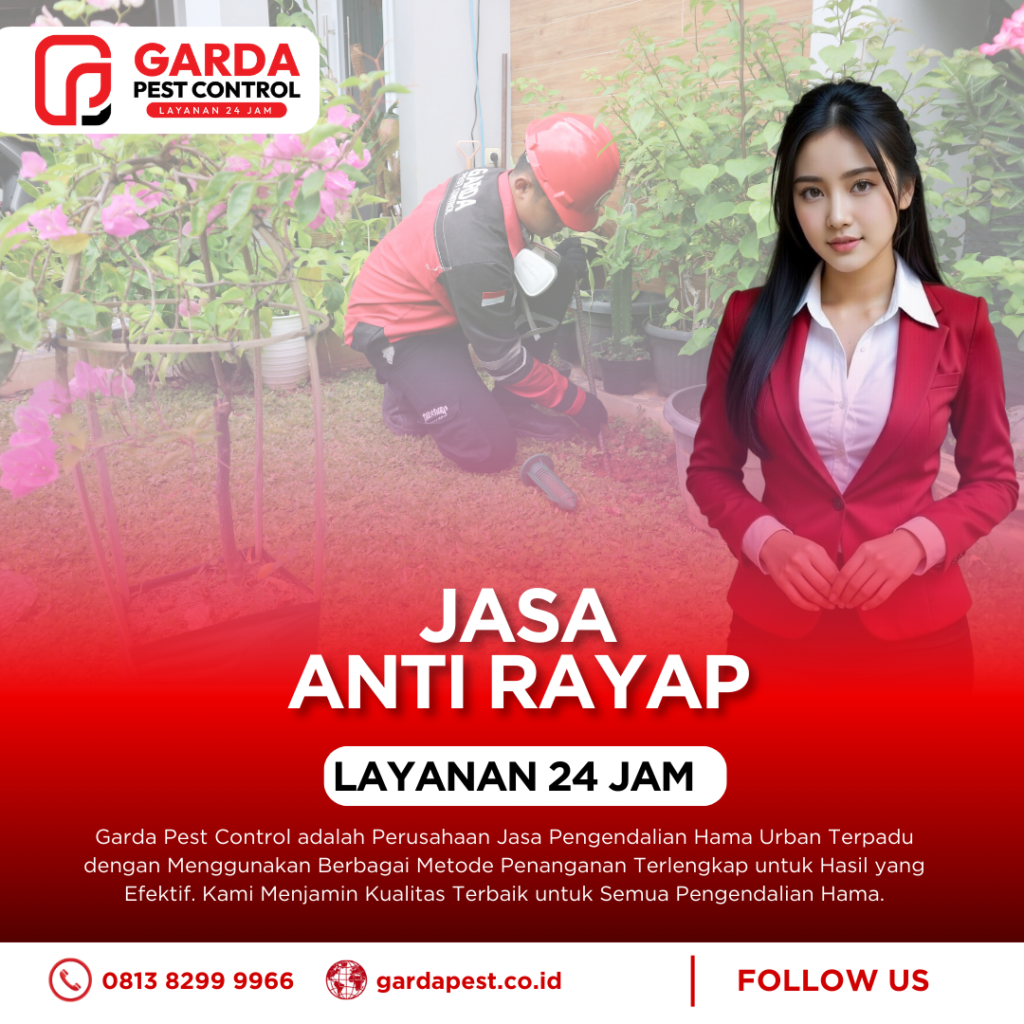 Jasa Basmi Rayap di Purwokerto Murah & Bergaransi