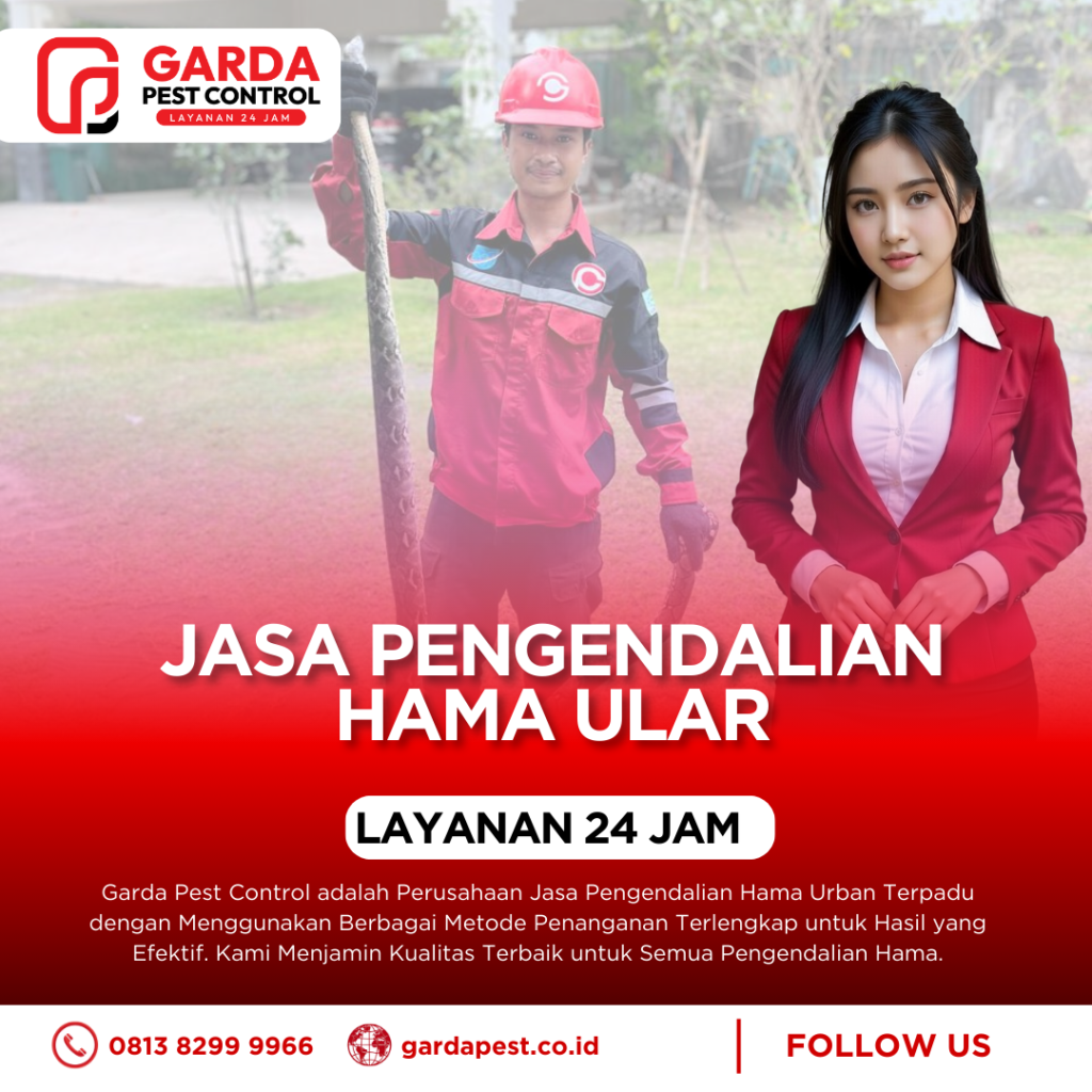 Jasa Pembasmi Ular Bandung Profesional dan Terpercaya