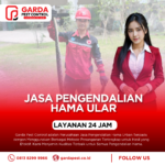 Jasa Pembasmi Ular Bandung Profesional dan Terpercaya