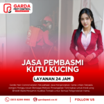 Jasa Pembasmi Kutu Kucing di Bogor Profesional & Bergaransi