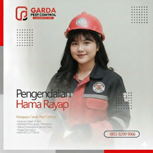 Perusahaan Jasa Anti Rayap Terdekat di Yogyakarta Jogja Indonesia