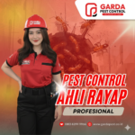 Jasa Basmi Rayap di Wonosobo